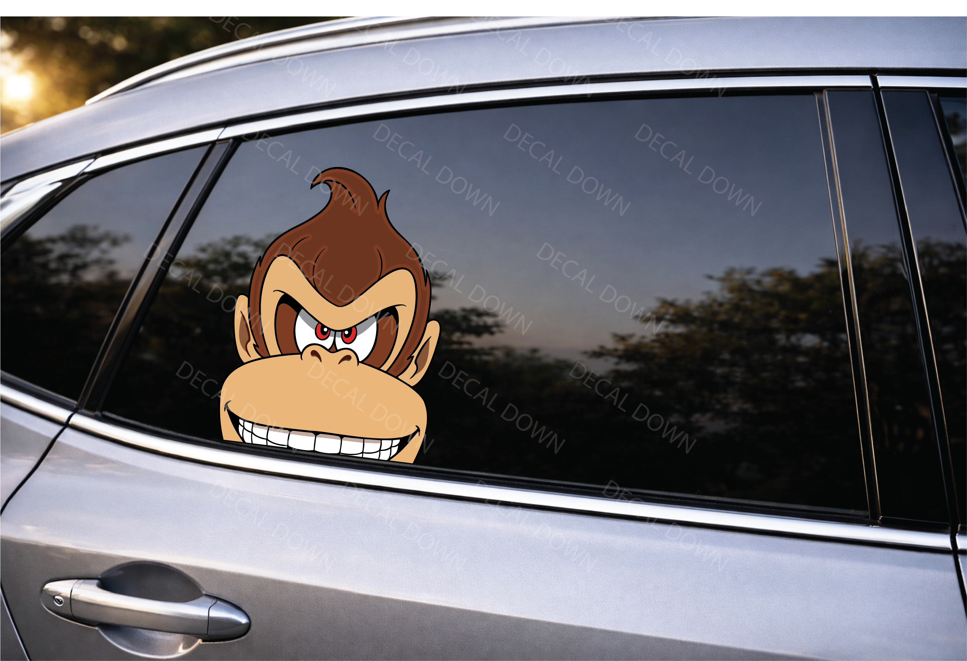 DONKEY KONG PEEKER