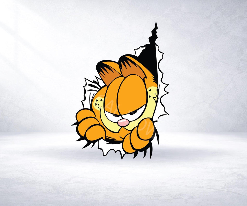GRUMPY ORANGE CAT Vinyl Decal Sticker, Waterproof Durable Laptop Car Decal