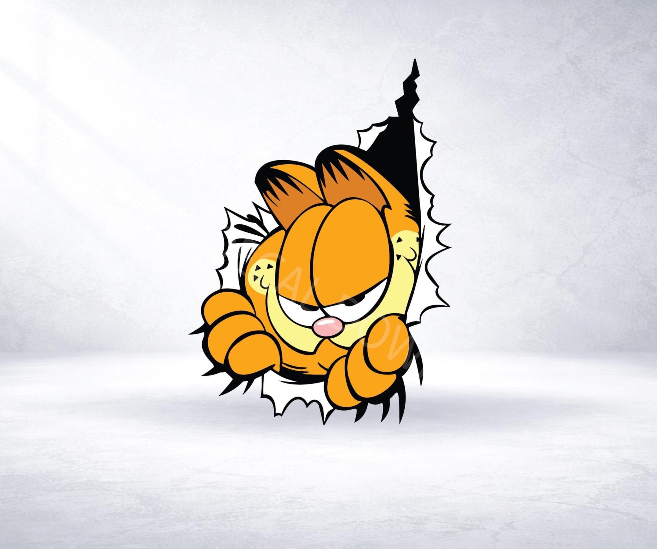 GRUMPY ORANGE CAT Vinyl Decal Sticker, Waterproof Durable Laptop Car Decal