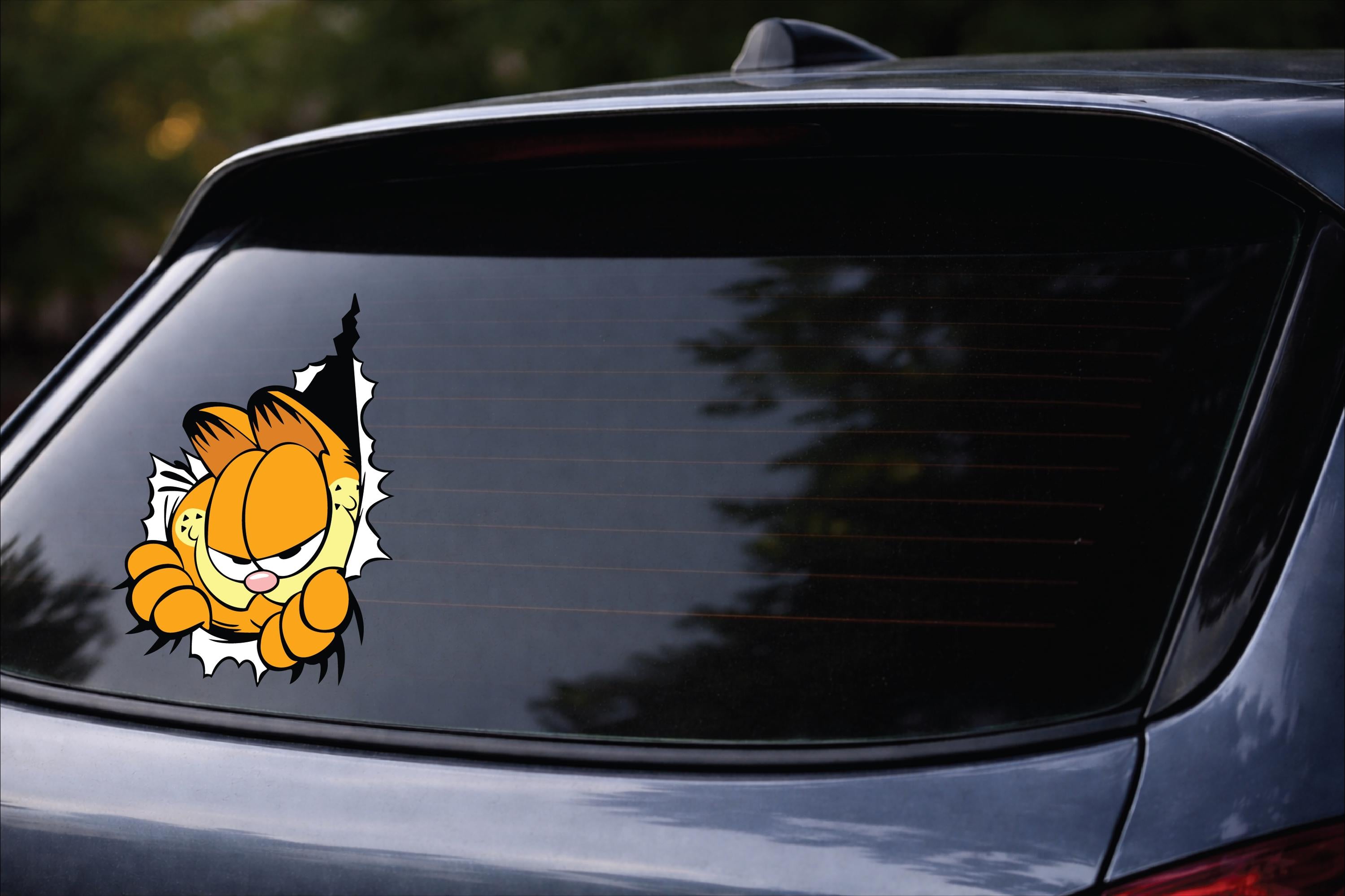 GRUMPY ORANGE CAT Vinyl Decal Sticker, Waterproof Durable Laptop Car Decal